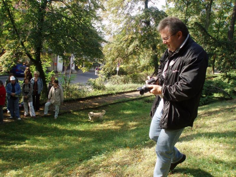 Kliknutím zavřete okno