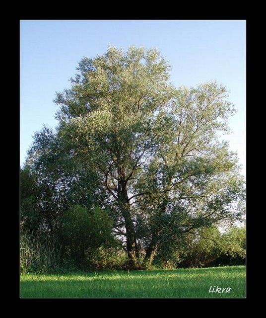 Kliknutím zavřete okno