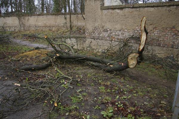 Kliknutím zavřete okno