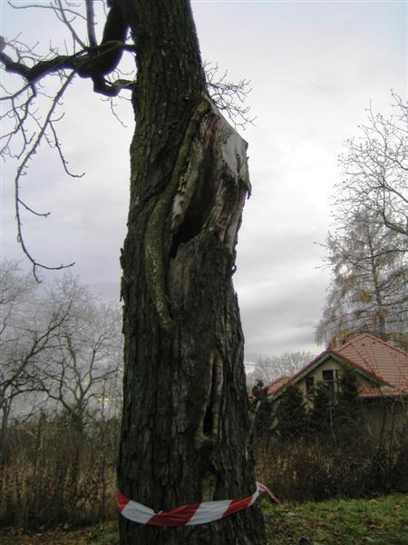 Kliknutím zavřete okno