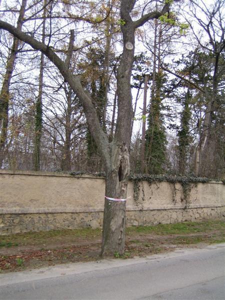 Kliknutím zavřete okno