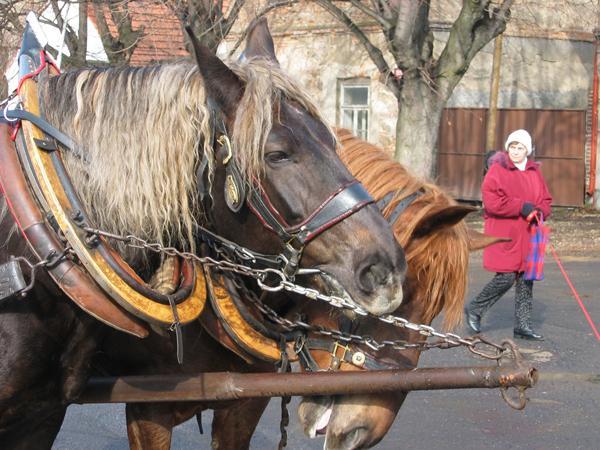 Kliknutím zavřete okno