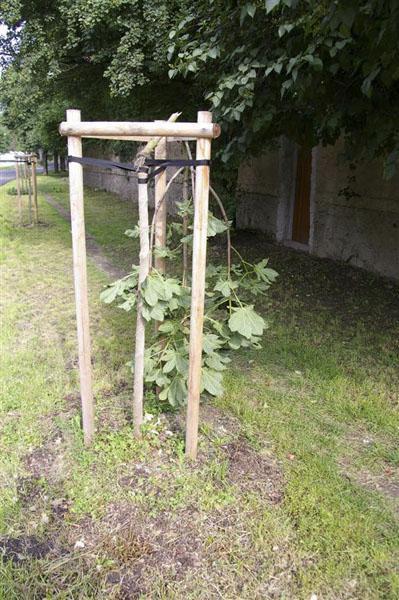 Kliknutím zavřete okno
