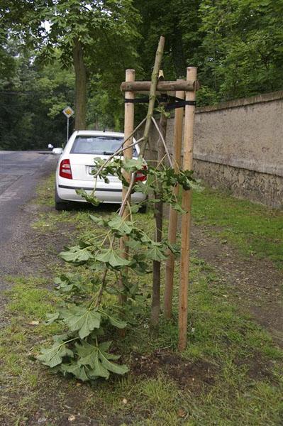 Kliknutím zavřete okno