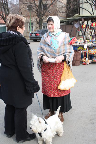 Kliknutím zavřete okno