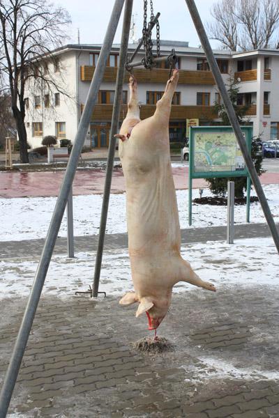 Kliknutím zavřete okno