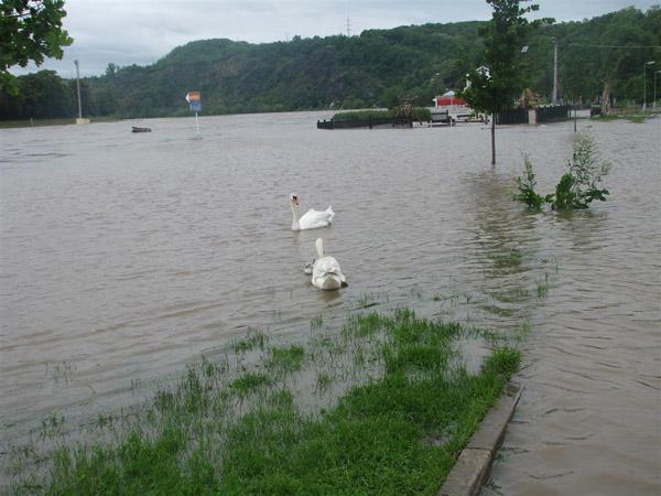 Kliknutím zavřete okno