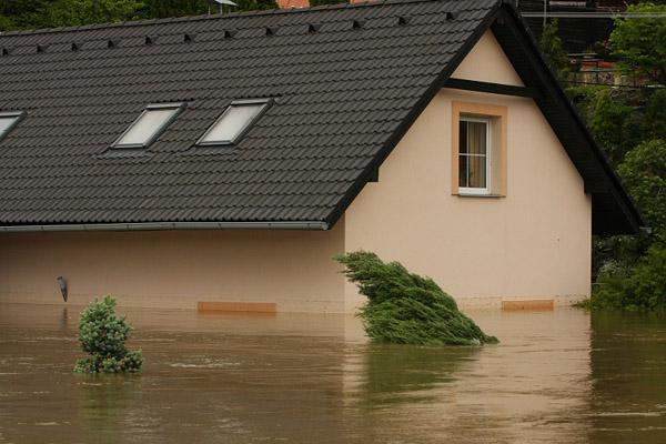 Kliknutím zavřete okno